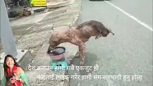 8K views · 150 reactions | जीवन जिउनलाई त्यति सजिलो कहाँ छ मित्रहरु भिडियो हेरेर सेयर गर्नु होला धन्यवाद | नेपाली गोरेटो Nepali Goreto | Facebook