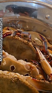 31 reactions · 18 shares | Cooking dinner sand crabs with coconut milk #norlynreel #fbookreel #viralreel #reel #contentcreator #Cooking #dinner #sandcrabs #followers #everyone #StarsEverywhere # | Norlinda Reodique Wilson | Facebook