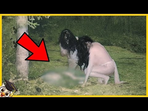 20 Hexen, die mit der Kamera im echten Leben gefangen wurden