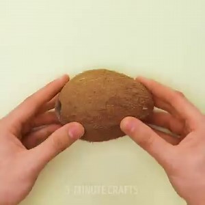 You can make these cool and unusual crafts from natural materials. 🐚 | Now I've Seen Everything