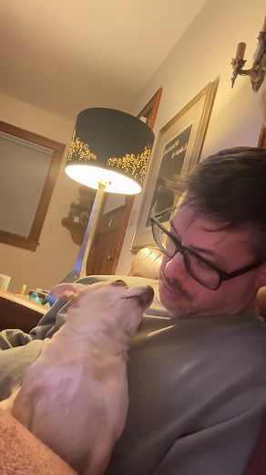 #teefs #chihuahua #overbite #justthetwoofus #foryoupage | Dog never betray