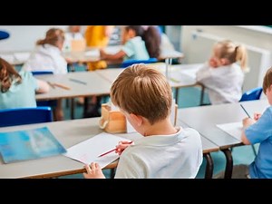 Conflating sex and gender is ‘confusing a generation of children’