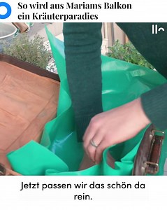 Eigene Kräuter und Gemüse auf dem Balkon züchten? Gärtnerin Andrea Neuenschwander zeigt, wie es geht – sogar in einem Koffer. | hellozurich | Facebook
