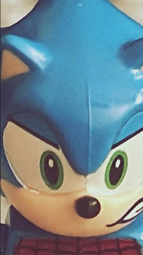 What toys 🧸 do when you aren’t home 🏠