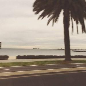 #MelbourneBeach ? | Programmed Go