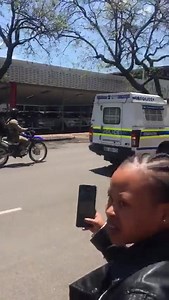 21 reactions | Springboks Trophy Tour. They were mooooving. Vernon | We Are South Africans | Facebook