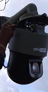 Great Migration Mara River Live Cams