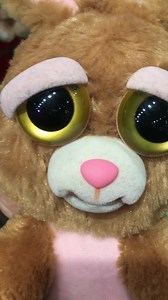 8.8K views · 121 reactions | Cute… Isn’t it? Now the toys are hiding it too... #hidethepainharold #hidethepain | Hide the Pain Harold | Facebook