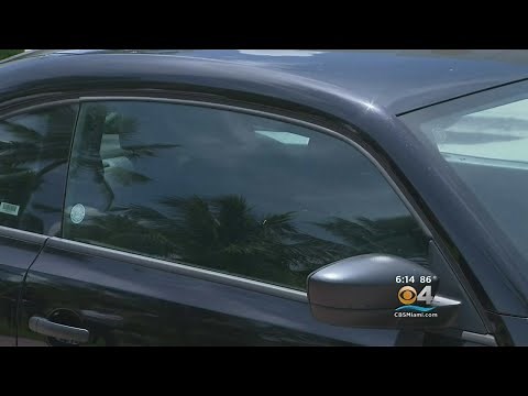 'There Are No Tints On The Window': Miami Beach Police After Two Priests Caught Performing Sex Act I
