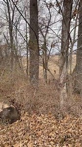 36K views · 1K reactions | I was able to make contact with a spirit named Jacob during one of my walks alone. What an interesting conversation. May Jacob rest in peace. Device being used it Sb7 spirit box | The Paranormal Couple | Facebook