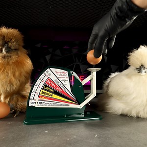 54K views · 1.3K reactions | in this video i show you how i restored this egg scale. #woodwork #metalwork #metal #tysytuberestoration #restoration #rusty #How #vintage #diy #retro #asmr #old #howto #painting #tools #howtomake #retrostyle | Tysy TUBE | Facebook