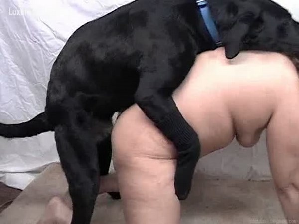 Huge creampie for BBW dog lover