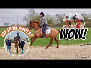 I CAN'T BELIEVE HE JUMPED LIKE THIS 😱| Re- training my ex flat racehorse | Footluce Eventing