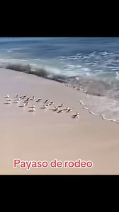 Jajajaja 😂🤣 | Familia Tejana