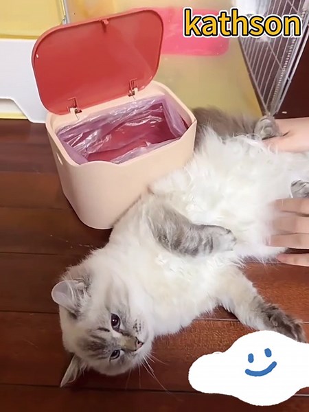 kathson Cat Litter Trash Can with Press Type Lid, Smell Proof Cat Poop Mini Bin with Bags, Cat Litter Scoop Holder Detachable Trash Container (Apricot Color)