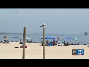 Video: Ocean Beach Park reopens for the season