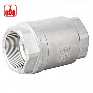[Hot Item] High Pressure Water & Flow Control Non Return NPT Threaded Stainless Steel Spring Check Valve