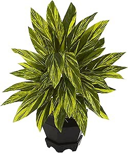 Nearly Natural Ginger Plant with Black Planter