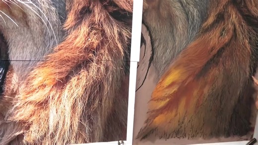 To draw fur you need to know this | Jason Morgan Wildlife Art