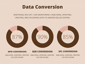 Inventory Management / Analyzing / Uploading Amazon B2B & MFN Conversion.
