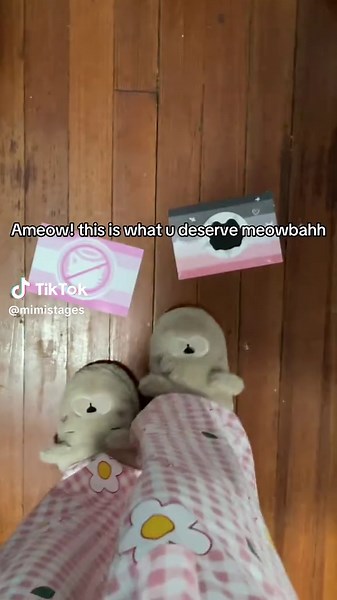 Meowbahh: Anti-Meowist Movement & Pee Spraying Claims