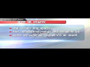 How to prevent Dengue