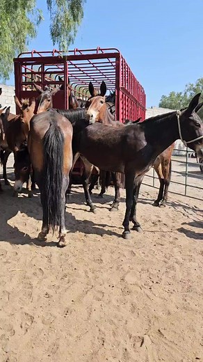 368K views · 3.3K reactions | Hunter Vlogs on Reels | Facebook