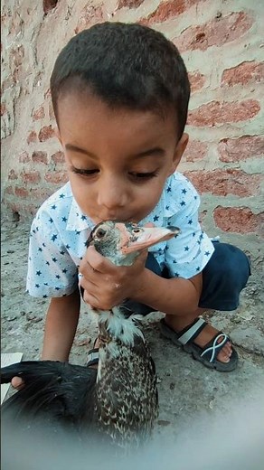 ابني سرق البطه علشان يلعب معها 🤣 #احمد_ابوالعنين