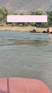 Khanan Mafia 🥷🥷🥷 | Shah Rukh Gurjar