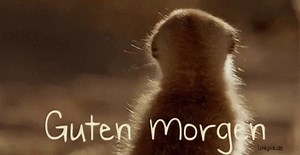 Schönen Guten Morgen ihr Lieben 😘😘😘 | Guten Morgen Sonnenschein