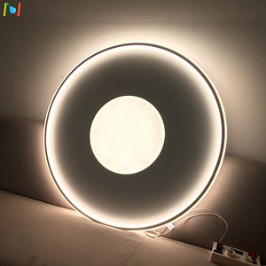 [Hot Item] Round LED Ceiling Lights Surface Mounted Circle Lighting Fixture
