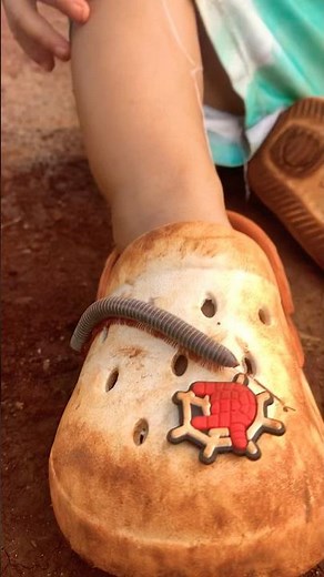cute baby vs centipede crawling up leg #insect #shorts #cutebaby#cute #millipede #funny