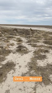 Orol dengizi hududidagi sirli mozor … #aralsea #karakalpakstan Boshqa lavhalar ham shu kanalda. | Amerika Ovozi