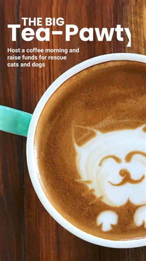 1.8K views | Raise funds for our cats and dogs by hosting your own coffee morning as part of #TheBigTeaPawty this April. Sign up to take part and we'll send you a fundraising pack containing: cake toppers ✉️invitations posters and thank you posters All you need to provide is the tea and cakes! Get involved: https://bathcatsdogshome.enthuse.com/cf/the-big-tea-pawty | Bath Cats and Dogs Home | Facebook