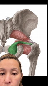 Obturator internus muscle is responsible for bladder pain, bladder, prolapse, deep vaginal penetration, pain, and severely restricted hips in internal rotation. The next video I will show you how to release your obturator internus in order to get rid of bladder, Pelvic Floor, hip dysfunctions. #hip #hiprestriction #hippain #bladder #bladderprolapse #bladderpain #urethrapain #painwithsex #pelvicfloor #urology #urologist #obgyn | Pelvic Health NJ