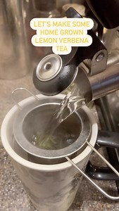 1.3K views · 188 reactions | Lemon Verbena is my favorite herb for...