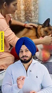 7.2K views · 14K reactions | 40 Lakh Worth Land Wedding for a Dog: A Couple’s Unbelievable Love Story... . . #doglover #dogsofinstagram #doglife #germanshepherd #dogparents #adoptionstory #petlovers #petcare | Amardeep Singh | Facebook