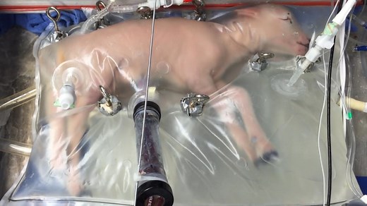 These ER Docs Invented a Real Star Trek Tricorder