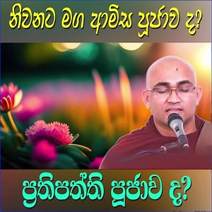 11K views · 1.1K reactions | නිවනට මග ආමිස පූජාවද ප්‍රතිපත්ති පූජාවද... | Sri Lanka Buddhist | Facebook