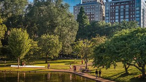 A single, mature tree provides enough oxygen for 4 people to breathe for a day. This is why we’re not just a tree-planting organization, we’re a people organization. At #ClimateWeekNYC, during American Forests' 150th year, our mission remains the same. It's time to #PowerUp. Will you stand with us? https://www.americanforests.org/article/for-all-of-us-what-trees-do-for-people/ | American Forests
