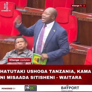 5.7K views · 244 reactions | “Hatutaki Ushoga Tanzania, Wazungu waelewe kama ni misaada wanaleta wakome waache kabisa, Tusichekeane kama ni misaada Kateni, Hii ni vita kama ilivyokuwa vita ya ukombozi wa bara la Afrika” - Mbunge Waitara | IMANI | Facebook