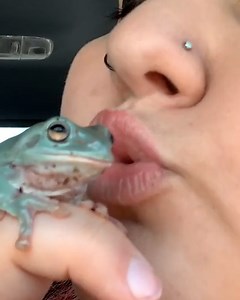 97K views · 1.1K reactions | Frogs are actually so so cute 殺  | Furry Tails | Facebook