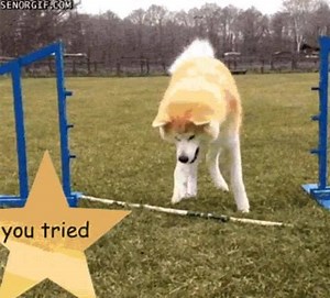 2.2K views · 22 reactions | When you try so hard but you don’t succeed. #HumourSunday #PAssionCard | PAssion Card | Facebook