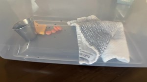 6.1K views · 171 reactions | Someone’s been doo-dooing on Rodney’s flat top grill, but we caught the culprit with a live trap and a little peanut butter. I forgot to check it yesterday morning, but I remembered mid-sleep at 3am last night lol. I felt bad for him potentially sitting in the trap for 24 hours and it had ants on it 梁 So anyway, he’s getting to warm up and hydrate/grub before I take him to his new home by a creek in the woods today ♥️ | Homemade Wanderlust | Facebook