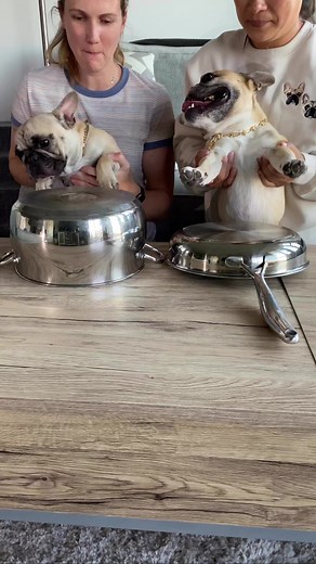 Gus has the biggest smile 🤣🤣 | Gus Gus In The City