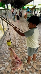 Kenji feeds the giant crocodile. #Kenji #giantcrocodile #zoo #zoo #feedingcrocodile