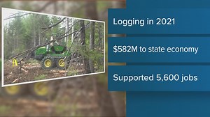 Maine logging industry contributed $582M to state economy in 2021, study finds