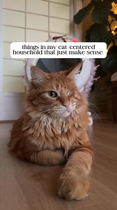 Shop our biggest sale of the year! 😻 Save up to $150 on Litter-Robot bundles, including the new Litter-Robot 5 Pro | Litter-Robot by Whisker