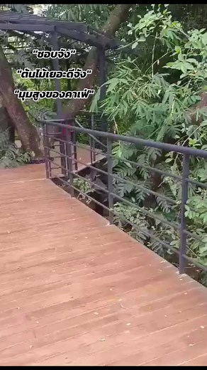 คาเฟ่ในป่าพิษณุโลกแห่งนี้ทำให้ดีต่อใจ