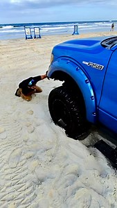 “Can’t Run Me Over If You’re Stuck!” • • • • #beach #ford #4x4 #toyota #broken | Sandtow